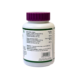 Patanjali Ashvashila