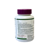 Patanjali Ashvashila
